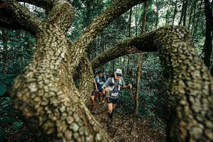 BIB: 
                            <button type="button" onclick="openModal(25393132)" class="btn btn-primary btn-sm float-right btn-popup" data-toggle="modal" data-target=".modal-high-quality">
                        <i class="fas fa-shopping-cart"></i> Add to Cart
                    </button>
                                            <button type="button" onclick="isThisMe(25393132, true)" class="btn btn-success btn-sm float-right btn-popup btn-isme hidden" data-toggle="tooltip" data-placement="bottom" title="นี่คือรูปของคุณใช่ไหม คลิกที่นี่เพื่อเอาเข้าอัลบั้ม">
                        <i class="fas fa-plus"></i> Add to album
                    </button>
                    <button type="button" onclick="isThisMe(25393132, false)" class="btn btn-warning btn-sm float-right btn-popup btn-isnotme hidden">
                        <i class="fas fa-ban"></i> Remove from album
                    </button>